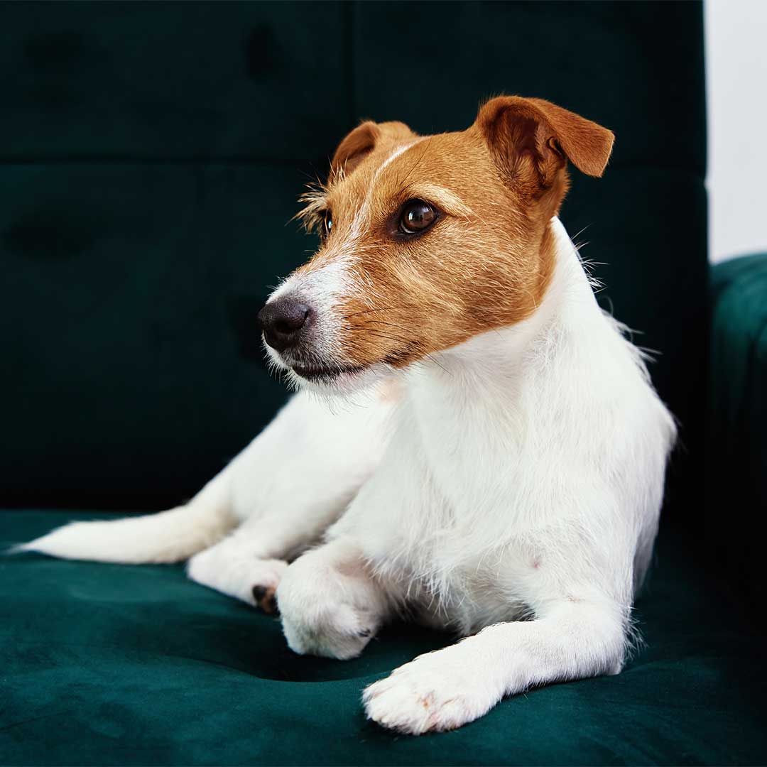 Amenities Apartment Homes in Suffern, NY